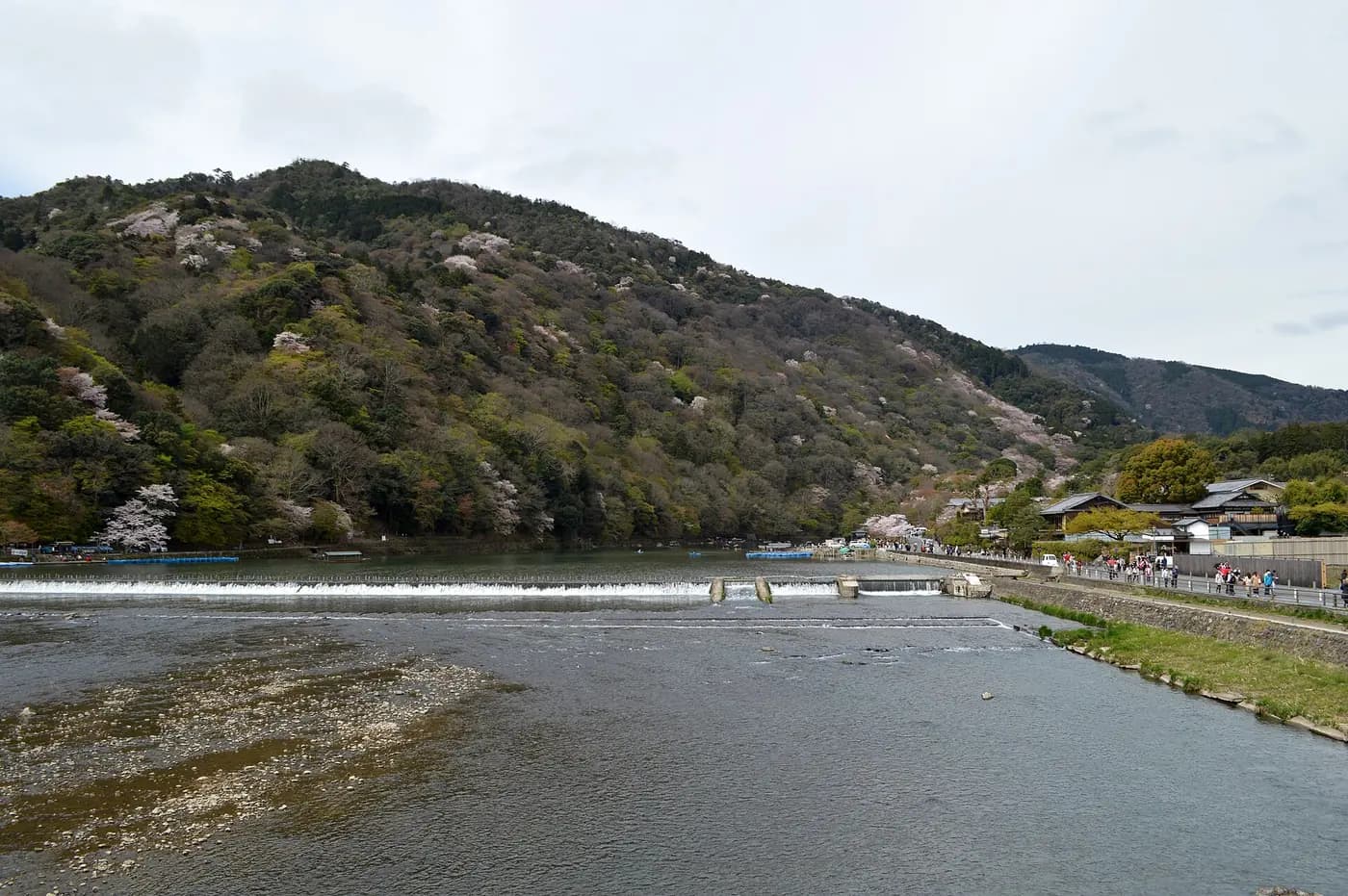 Kyoto'dan Arashiyama'ya Kültür Turu