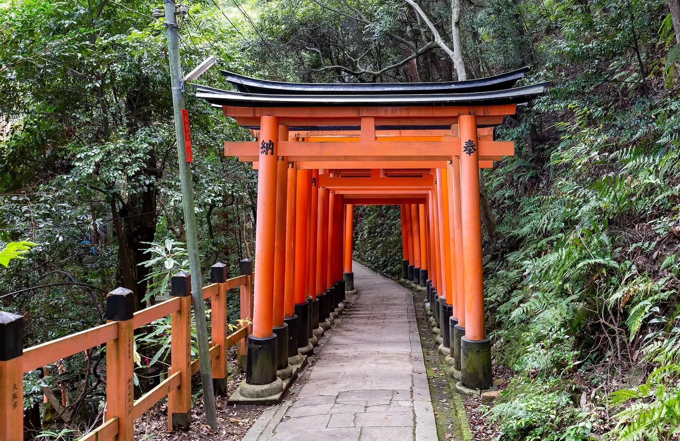 Arashiyama ve Fushimi Inari Taisha Turu