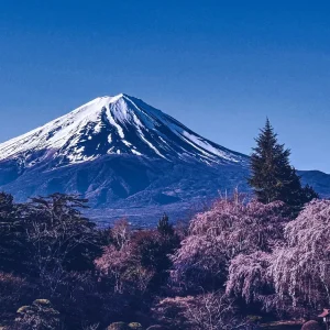 Mount Fuji Day Trip from Tokyo – Private & Customizable Tour