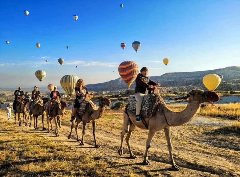 49_221106_1415_f7f83f69-7823-4fbf-9c04-ce8087fbd89c